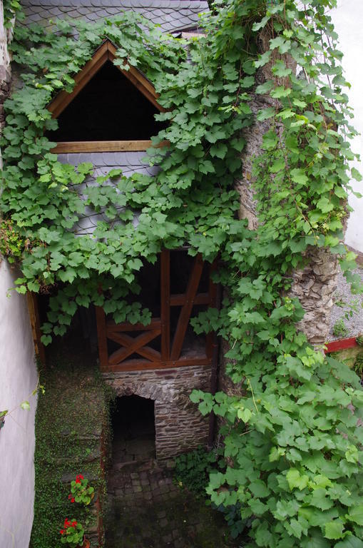 Apartment Ad Monte Cochem
